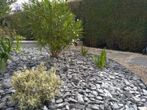 Massif végétalisé avec paillage en ardoise près de Rennes, réalisé par Authentik Paysages